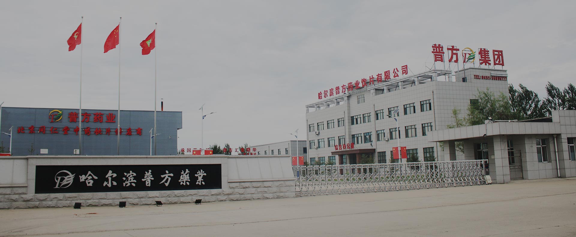 about the pufang